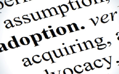 Adoption Terms and Language